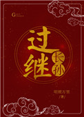 过继第三部有声听书